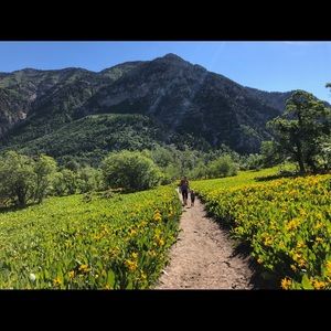 Meet your Posher, Lisa